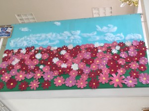 IMG_6047 IMG_6047